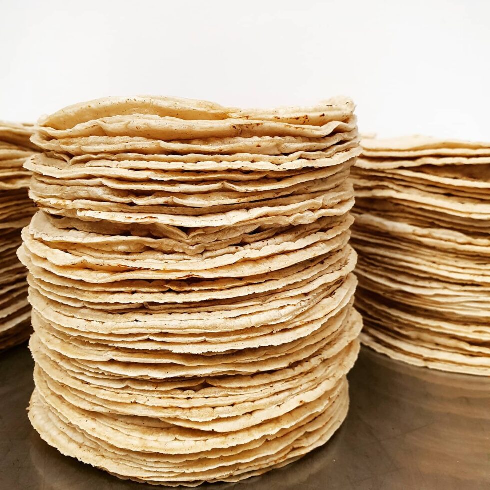 Masa Tortillas Fresh Soft Corn Tortillas Mexican Ingredients