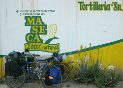 maseca brand flour for soft corn tortillas